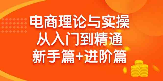 （9576期）电商理论与实操从入门到精通 新手篇+进阶篇-失落博客
