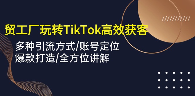 外贸工厂玩转TikTok高效获客，多种引流方式/账号定位/爆款打造/全方位讲解-失落博客