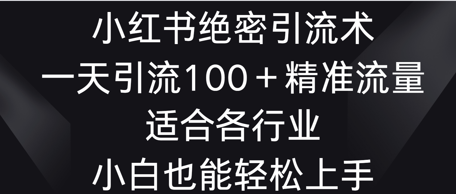 小红书绝密引流术，一天引流100＋精准流量，适合各个行业，小白也能轻松上手-失落博客