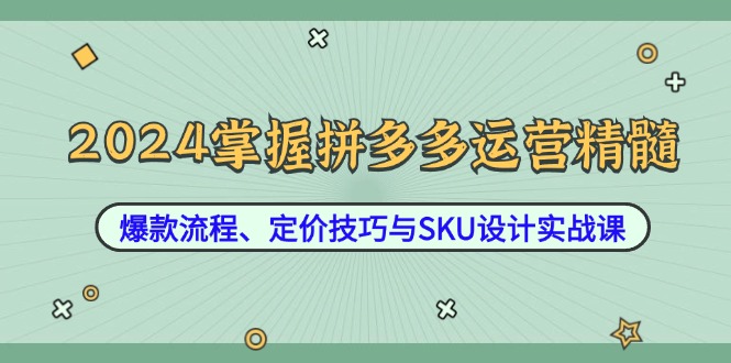 2024掌握拼多多运营精髓：爆款流程、定价技巧与SKU设计实战课-失落博客