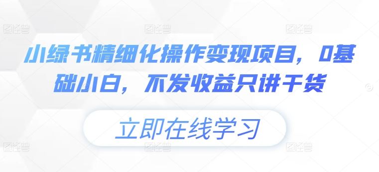 小绿书精细化操作变现项目，0基础小白，不发收益只讲干货-失落博客