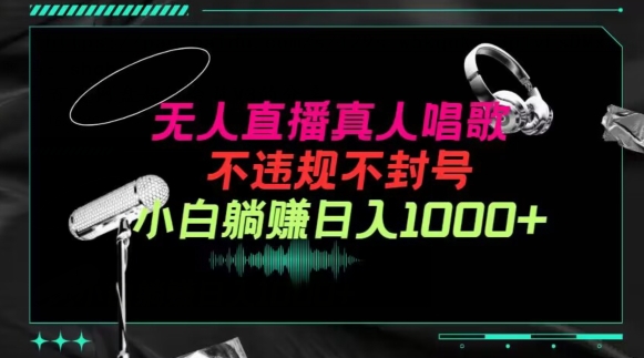 抖音24小时无人直播音乐，不违规，不封号纯撸音浪，小白实操当天日入1000+-失落博客