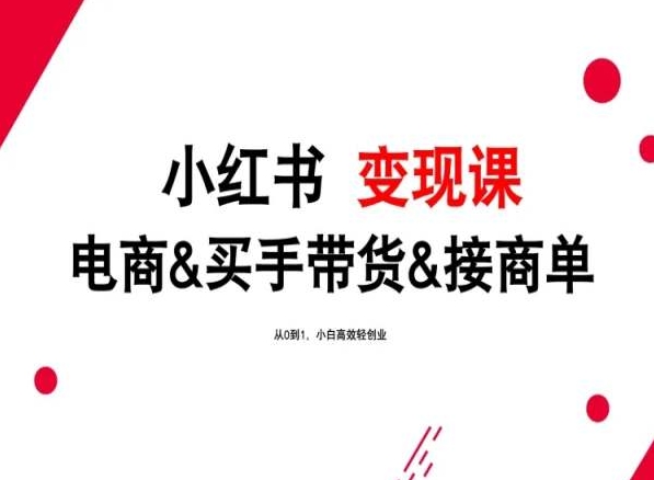 2024年最新小红书变现课，电商&买手带货&接商单，从0到1，小白高效轻创业-失落博客