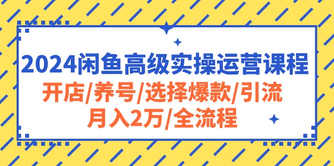 （10711期）2024闲鱼高级实操运营课程：开店/养号/选择爆款/引流/月入2万/全流程-失落博客