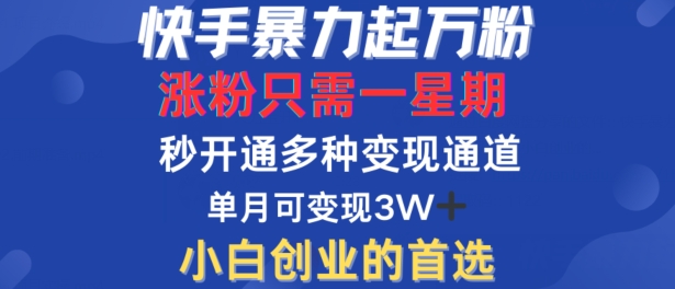 快手暴力起万粉，涨粉只需一星期，多种变现模式，直接秒开万合，单月变现过W【揭秘】-失落博客