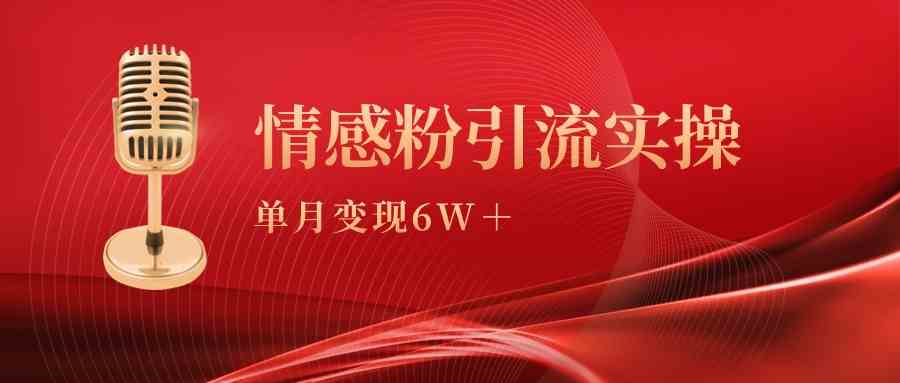 （9473期）单月变现6w+，情感粉引流变现实操课-失落博客