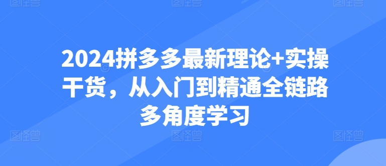 2024拼多多最新理论+实操干货，从入门到精通全链路多角度学习-失落博客