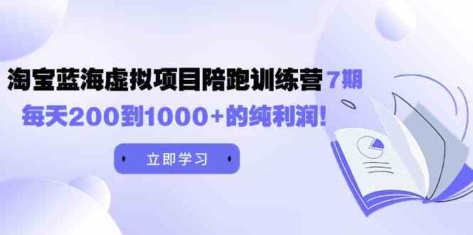 （9541期）黄岛主《淘宝蓝海虚拟项目陪跑训练营7期》每天200到1000+的纯利润-失落博客