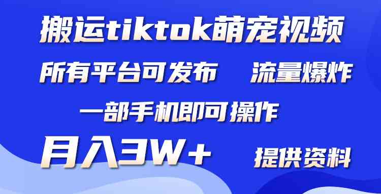 （9618期）搬运Tiktok萌宠类视频，一部手机即可。所有短视频平台均可操作，月入3W+-失落博客
