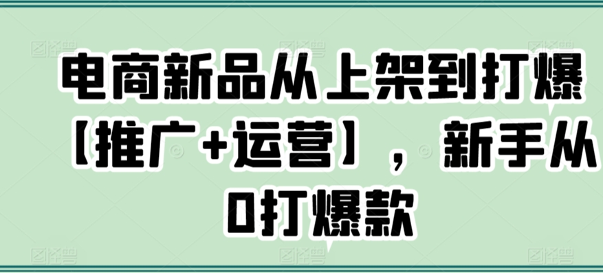 电商新品从上架到打爆【推广+运营】，新手从0打爆款-失落博客