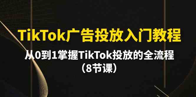 （10085期）TikTok广告投放入门教程，从0到1掌握TikTok投放的全流程（8节课）-失落博客