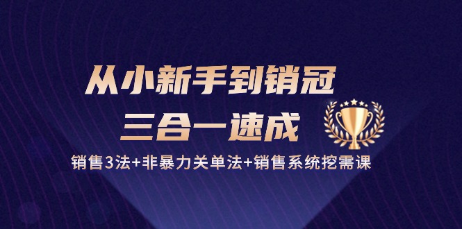 （10799期）从小新手到销冠 三合一速成：销售3法+非暴力关单法+销售系统挖需课 (27节)-失落博客