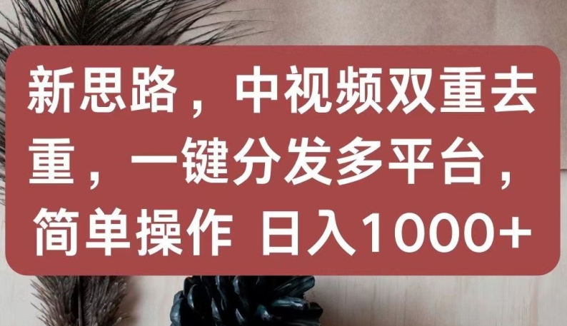 新思路，中视频双重去重，一键分发多平台，简单操作，日入1000+-失落博客