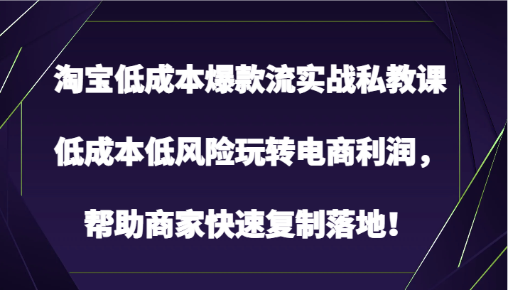 淘宝低成本爆款流实战私教课，低成本低风险玩转电商利润，帮助商家快速复制落地！-失落博客