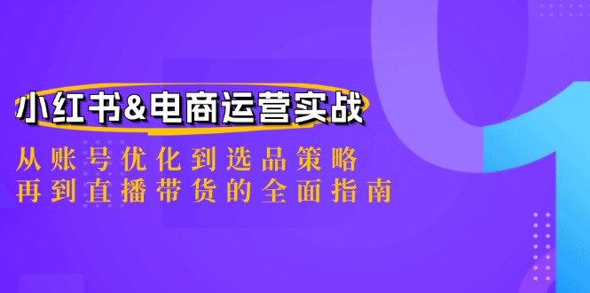 小红书&电商运营实战：从账号优化到选品策略，再到直播带货的全面指南-失落博客