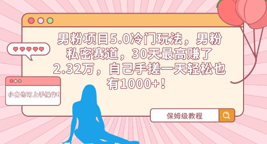 男粉项目5.0冷门玩法，男粉私密赛道，30天最高赚了2.32万，自己手搓一天轻松也有1000+-失落博客