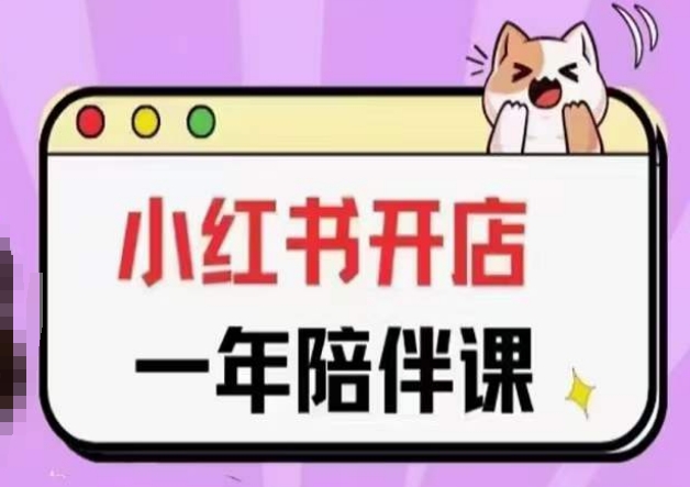 三九小红书开店一年陪伴课(更新)，从0到1玩赚小红书开店-失落博客