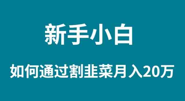 （9308期）新手小白如何通过割韭菜月入 20W-失落博客
