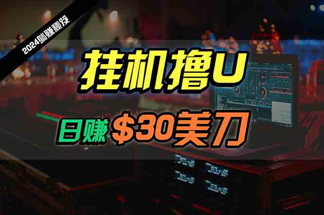 （10013期）日赚30美刀，2024最新海外挂机撸U内部项目，全程无人值守，可批量放大-失落博客