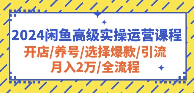 2024闲鱼高级实操运营课程：开店/养号/选择爆款/引流/月入2万/全流程-失落博客