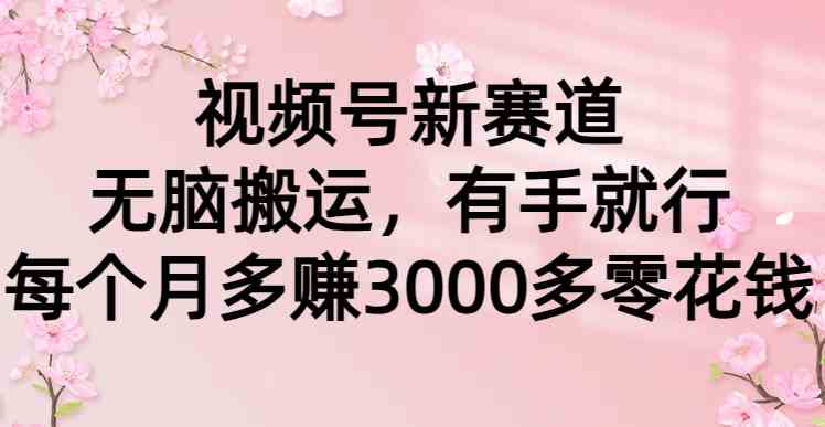 （9277期）视频号新赛道，无脑搬运，有手就行，每个月多赚3000多零花钱-失落博客
