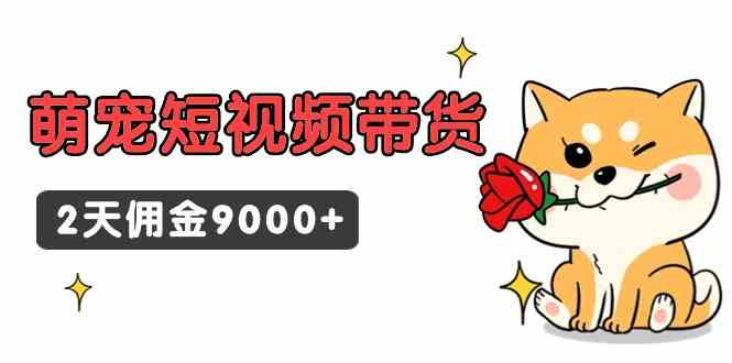 （9273期）东哲日记·萌宠短视频带货，2天佣金9000+-失落博客