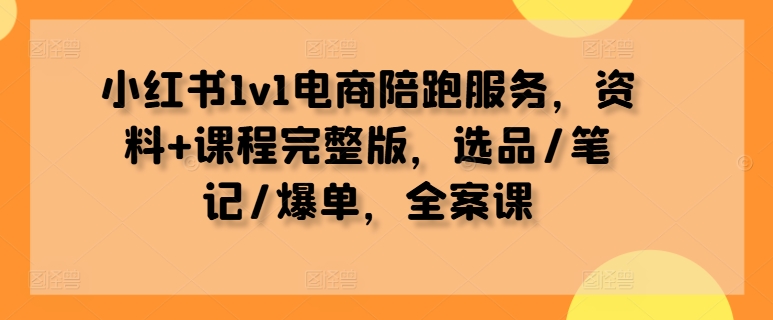 小红书1v1电商陪跑服务，资料+课程完整版，选品/笔记/爆单，全案课-失落博客