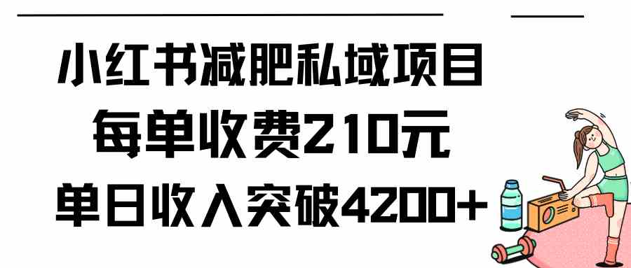 （9466期）小红书减肥私域项目每单收费210元单日成交20单，最高日入4200+-失落博客