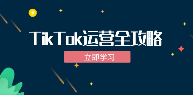 TikTok实战运营全攻略：从下载软件到变现，抖音海外版实操教程-失落博客