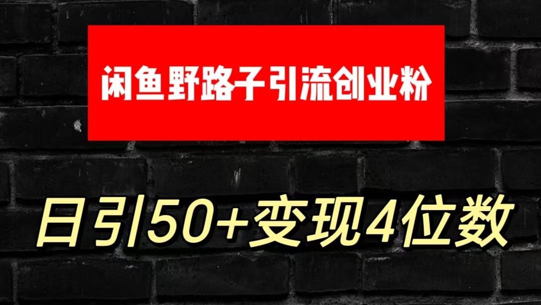 大眼闲鱼野路子引流创业粉，日引50+单日变现四位数-失落博客