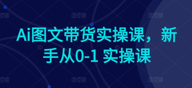 Ai图文带货实操课，新手从0-1 实操课-失落博客