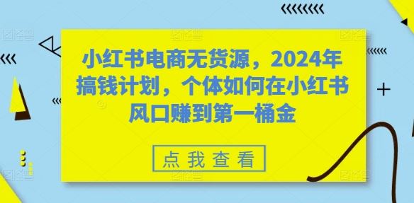 小红书电商无货源，2024年搞钱计划，个体如何在小红书风口赚到第一桶金-失落博客