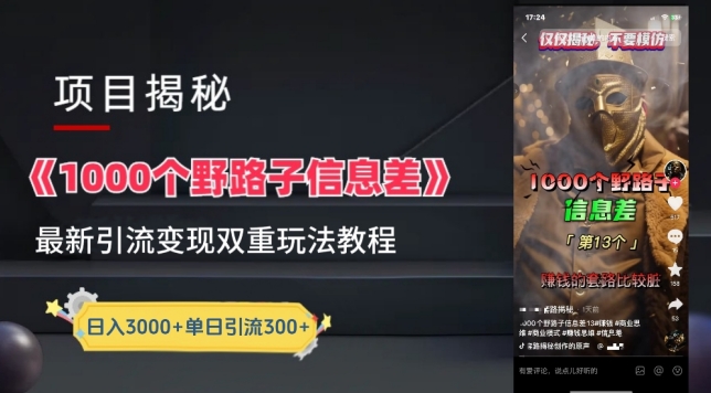 一千个野路子信息差最新玩法教程-变现+引流的玩法具体拆解-失落博客