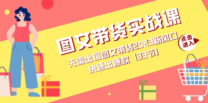 图文带货实战课：无需出镜图文带货2023新风口，快速出爆款（33节）-失落博客