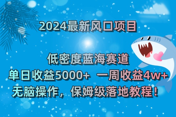 2024最新风口项目 低密度蓝海赛道，日收益5000+周收益4w+ 无脑操作-失落博客