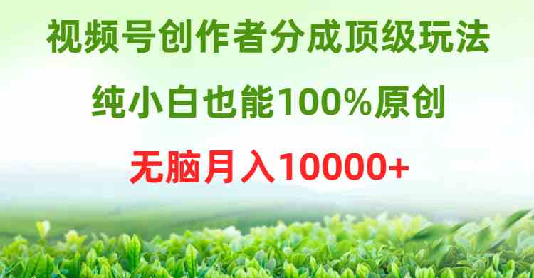 （9608期）视频号创作者分成顶级玩法，纯小白也能100%原创，无脑月入10000+-失落博客