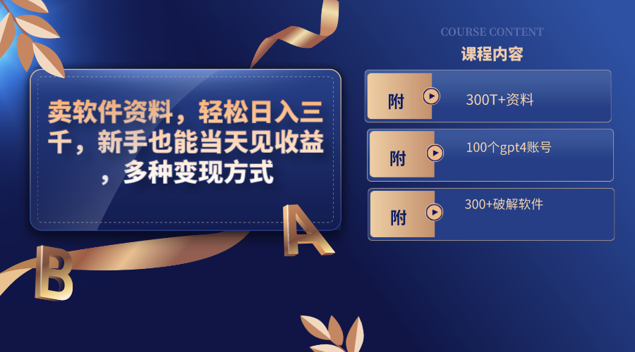卖软件资料，轻松日入三千，新手也能当天见收益，多种变现方式-失落博客