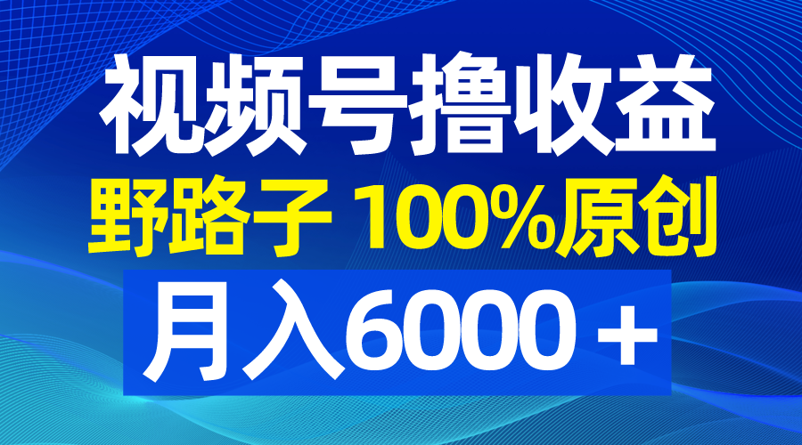 视频号野路子撸收益，100%原创，条条爆款，月入6000＋-失落博客