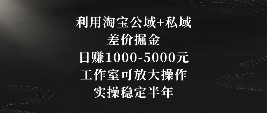 利用淘宝公域+私域差价掘金，日赚1000-5000元，工作室可放大操作，实操…-失落博客