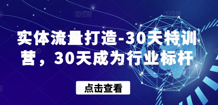 实体流量打造-30天特训营，30天成为行业标杆-失落博客