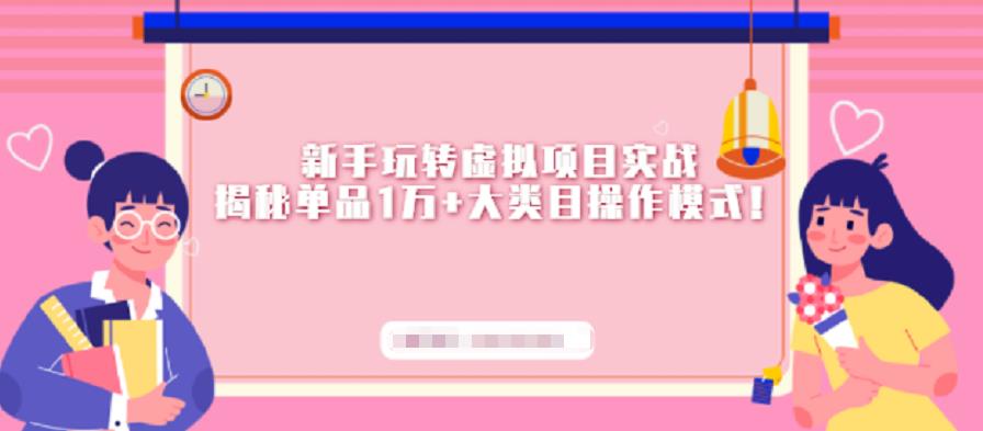 新手玩转虚拟项目实战，揭秘单品1万+大类目操作模式【视频课程】-失落博客