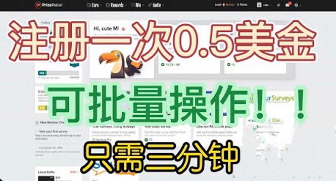 国外项目注册一次0.5美金 只需三分钟无脑操作 可批量放大 小白工作室福利-失落博客