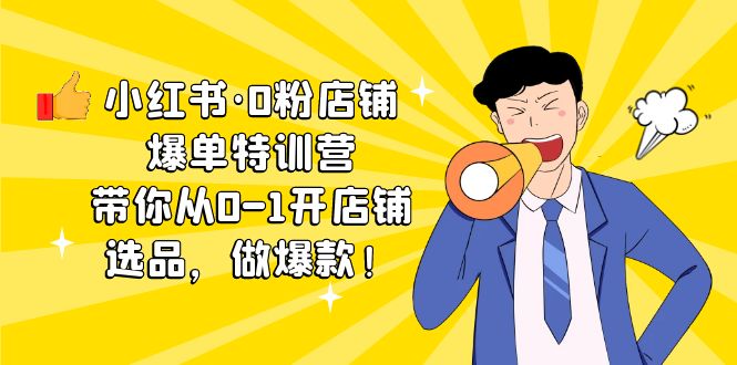 小红书·0粉店铺爆单特训营 带你从0-1开店铺，选品，做爆款（课程+工具包）-失落博客
