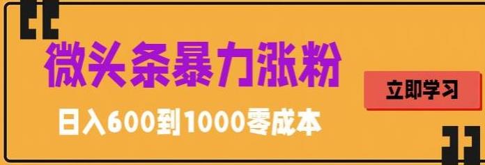 微头条暴力涨粉技巧搬运文案就能涨几万粉丝，简单0成本，日赚600-失落博客