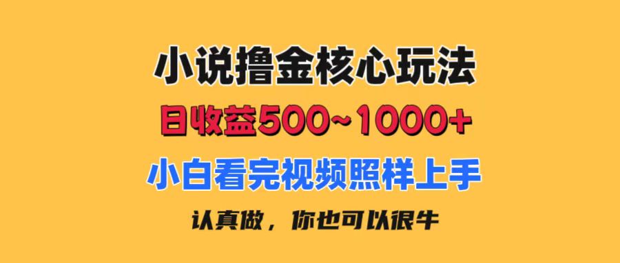 小说撸金核心玩法，日收益500-1000+，小白看完照样上手，0成本有手就行-失落博客